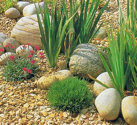 Gravel garden | Rockery garden, Pebble garden, Backyard garden layout