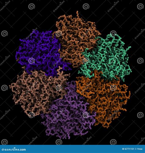 Image result for Protein Complex Function