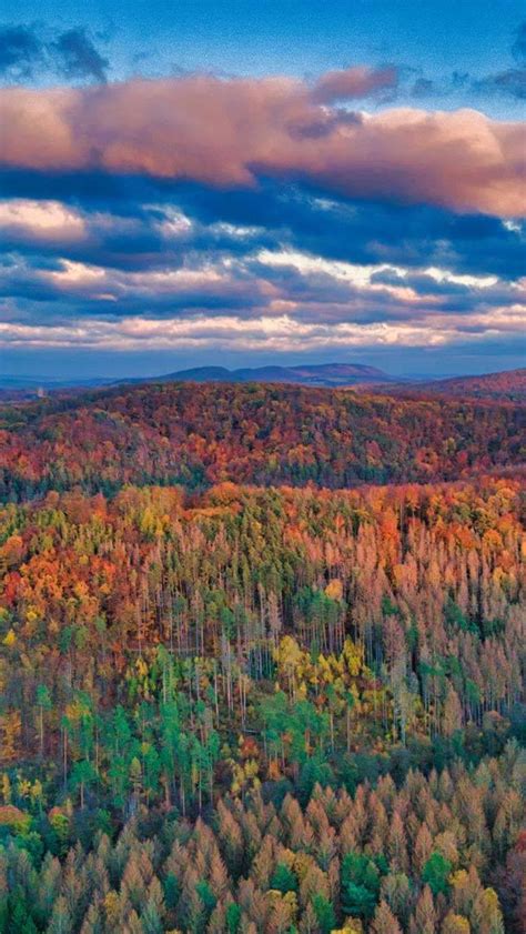 Bing Wallpaper Castle 的图像结果