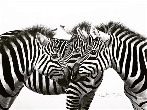 Image result for draw.