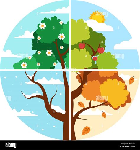Image result for Spring/Summer Fall/Winter Cartoon