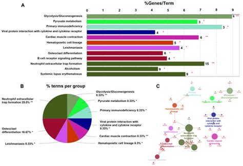 IJMS | Special Issue : Molecular Studies of Bone Biology and Bone Tissue
