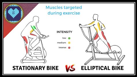 Exercise Bike vs Elliptical Machine 的图像结果