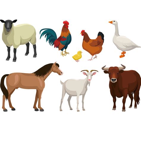 Cattle Goat Sheep Livestock - Farm animal vector illustration png ...