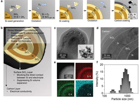 LMN Tutorial 的图像结果