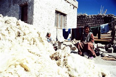 Interim Budget 2019: The full coverage