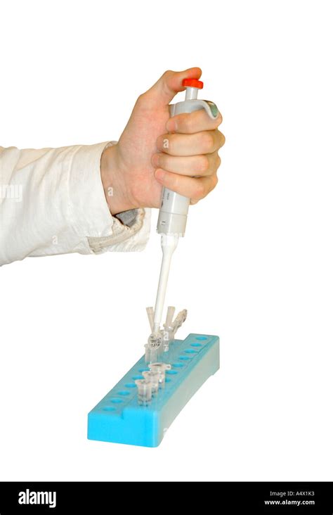 Image result for DNA Test Example