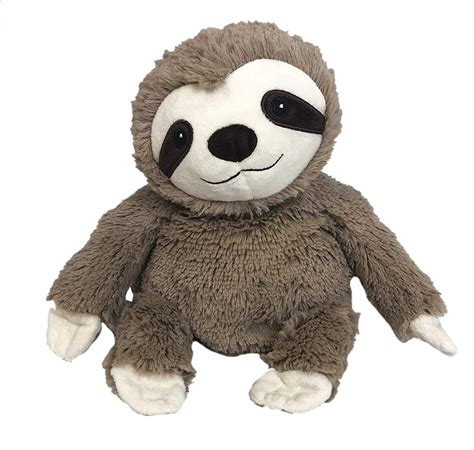 Buy Intelex Sloth, 1.75 Pound Online at Low Prices in India - Amazon.in
