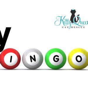 Kitty Bingo, Kitty Queen Cat Rescue, Pittsburgh, 28 June 2024 ...