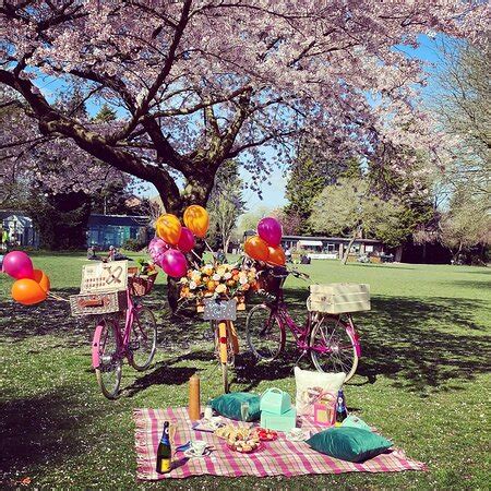 Didsbury Bicycle Hire - Manchester | Tripadvisor