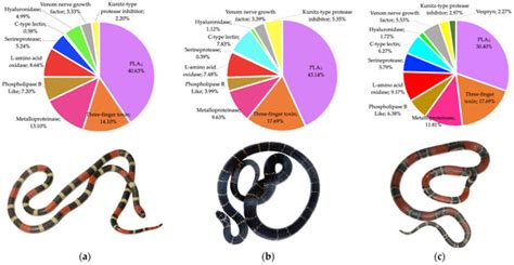 Unveiling the Venom Composition of the Colombian Coral Snakes Micrurus ...