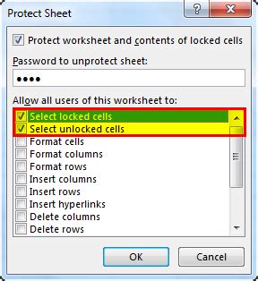 Image result for Protect Worksheet