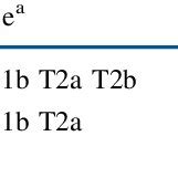 Image result for Sarcoma Staging