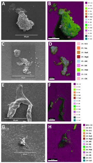 Can Aggregate-Associated Organisms Influence the Fouling in a SWRO ...