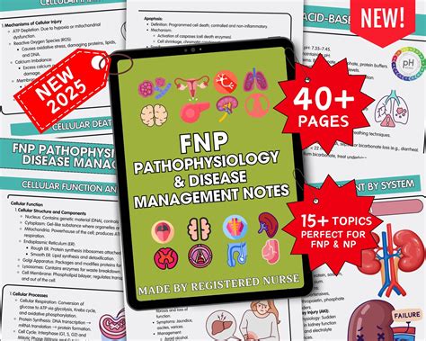 FNP Pathophysiology Study Guide, Nurse Practitioner Notes (PDF) - Etsy