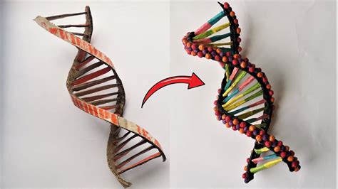 Image result for DNA Simple Homemade Model