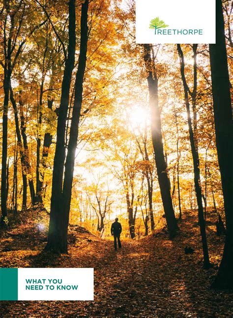 Image result for Clientele Forms with Instructions