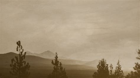 Monkless Belgian Ales