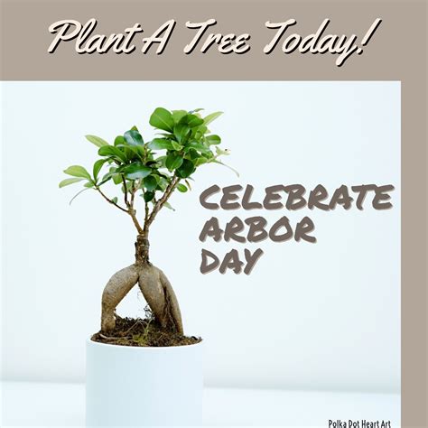 Arbor Day Foundation Free Tree Identification at Jeremiah Jobe blog