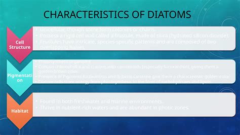 Diatoms - Bacillariophyte and golden algae. | PPTX