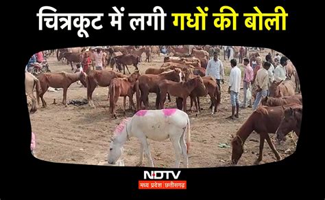 इस बार 'सलमान' व 'शाहरुख' से मंहगा निकला 'लॉरेंस' , मुगलकाल से ...