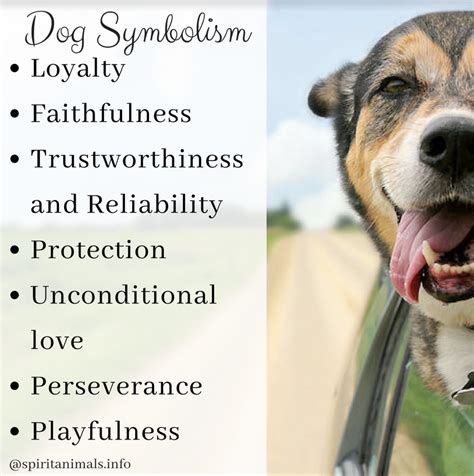 Dog Spirit Animal - Symbol of Love, Protection, and Loyalty