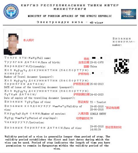吉尔吉斯斯坦30日单次个人旅游签证广州送签·人在境外可以受理