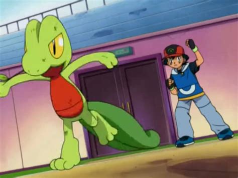 Image result for Treecko Evolution GBA Pokemon