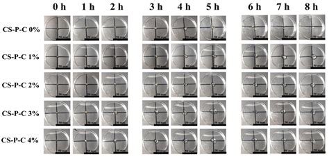 Curdlan-Reinforced Chitosan/Polyacrylate Interpenetrating Hydrogels ...