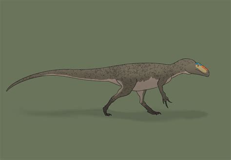 Scipionyx samniticus interpreted as a Carcharodontosaurid (OC) : r/Paleoart