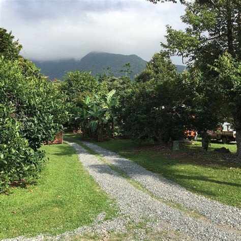 CAPE TRIB FARM (2026) All You Need to Know BEFORE You Go (with Photos ...