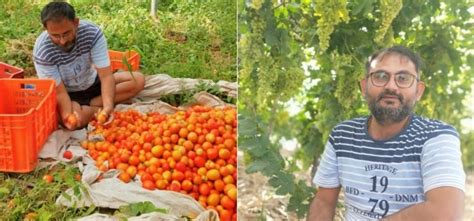 इंजीनियर ने जॉब छोड़कर शुरू की ऑर्गेनिक खेती, लाखों की हो रही कमाई, कई ...