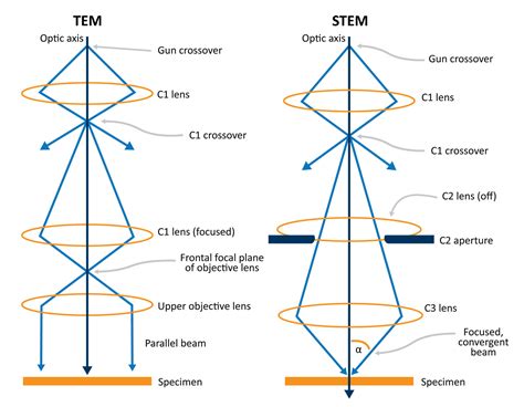 Scanning Transmission Electron Microscopy | Nanoscience Instruments