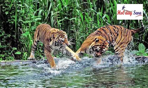 Sundarban Tour Package From Kolkata