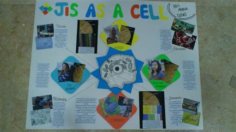 Cell Analogy Project