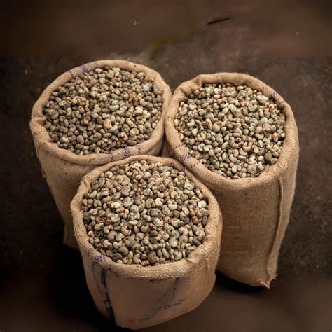 IMPORT OF CASHEW IN INDIA, CASHEW NUT EXPORT TO INDIA, DRY BAG FOR RAW ...