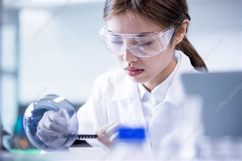 Image result for Lab Assistant Online Class