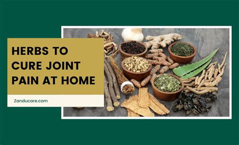 13 Best Herbs for Joint Pain & Arthritis Relief