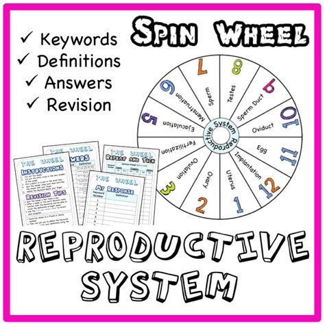 Image result for Male Reproductive System Interactive Game