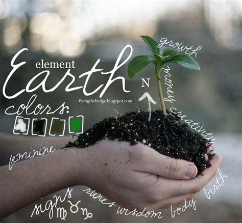 Element Earth Tree 的图像结果