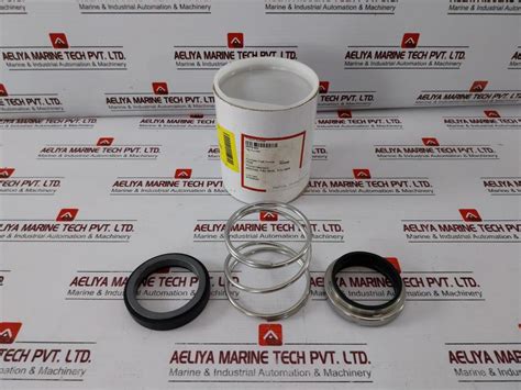 Hamworthy Pumps 20079-003 Mechanical Seal 54 Mm Seal Car/Sic/Vit ...