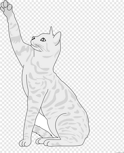 Image result for No Code Development