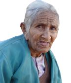 Herbal formulation for controlling aphid, white fly and heliothis ...