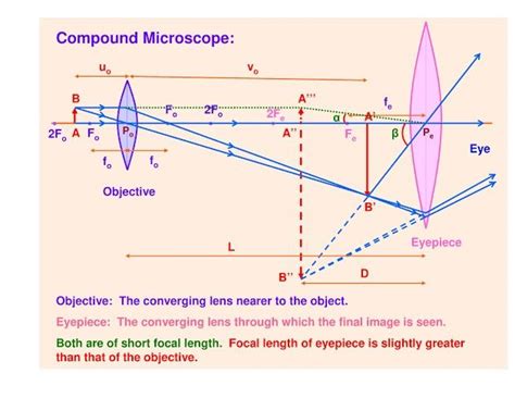 Image result for Compound Microscope Physics