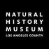 Los Angeles County Museum of Art Office Photos