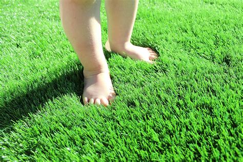Buy 6.5x11.5ft Artificial Grass for Dogs Pee Pads Artificial Synthetic ...