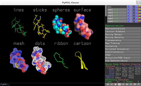 Image result for PyMOL Demo