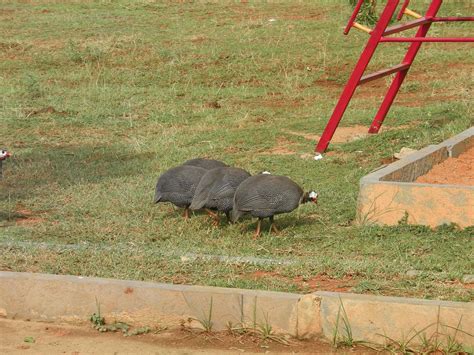 APTDC HARITHA HOTEL KADAPA (Guntur District) - Hotel Reviews & Photos ...