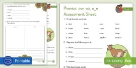 Grade 3 Phonics ow (cow) ou (found): Assessment Sheet