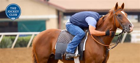 Original Video Two Guys One Horse Zip __FULL__